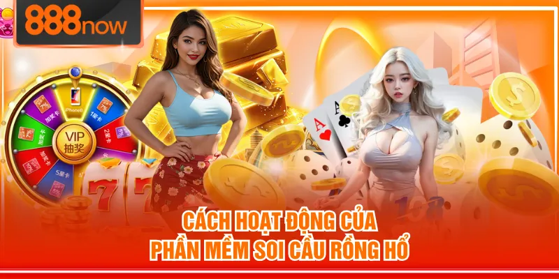 Cách hoạt động của phần mềm soi cầu rồng hổ